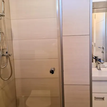 Cookie Kolacic Blizu Aerodroma Nikola Tesla Daire