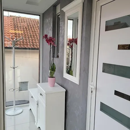 Cookie Kolacic Blizu Aerodroma Nikola Tesla