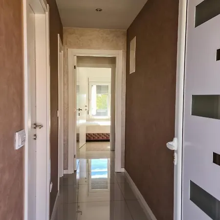 Cookie Kolacic Blizu Aerodroma Nikola Tesla Daire