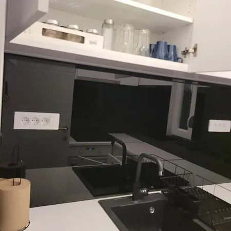 Cookie Kolacic Blizu Aerodroma Nikola Tesla Daire