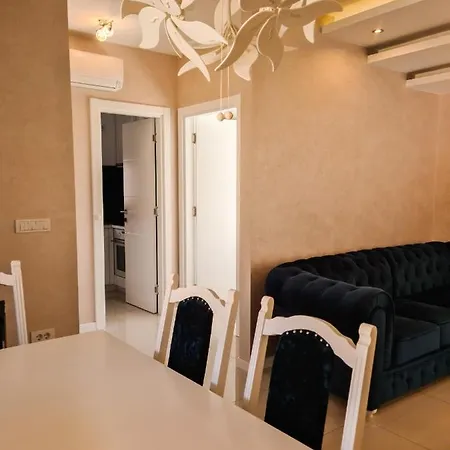 Cookie Kolacic Blizu Aerodroma Nikola Tesla Daire Dobanovci