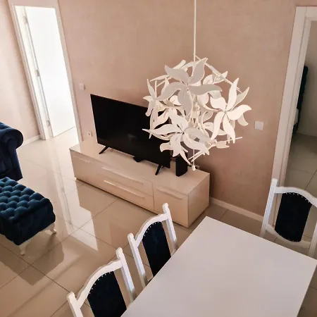 Cookie Kolacic Blizu Aerodroma Nikola Tesla Dobanovci