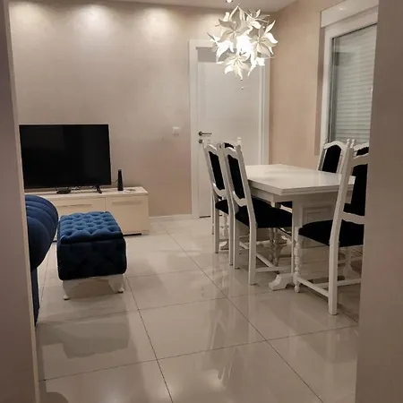 Cookie Kolacic Blizu Aerodroma Nikola Tesla Daire