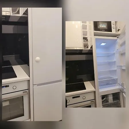 Cookie Kolacic Blizu Aerodroma Nikola Tesla Dobanovci