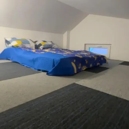 Daire Cookie Kolacic Blizu Aerodroma Nikola Tesla *