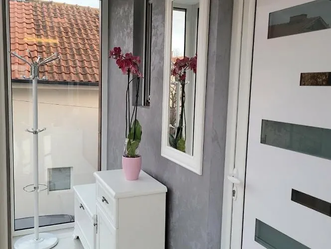 Cookie Kolacic Blizu Aerodroma Nikola Tesla