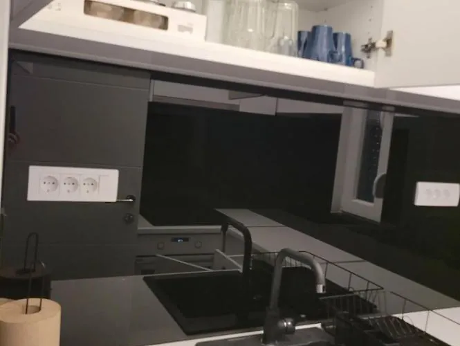 Cookie Kolacic Blizu Aerodroma Nikola Tesla Apartamento