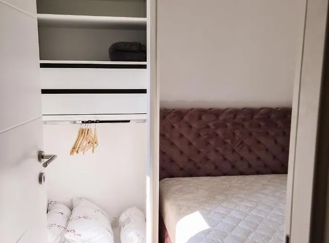 Cookie Kolacic Blizu Aerodroma Nikola Tesla Dobanovci