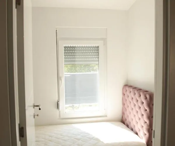 Cookie Kolacic Blizu Aerodroma Nikola Tesla Dobanovci