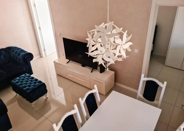 Cookie Kolacic Blizu Aerodroma Nikola Tesla Dobanovci