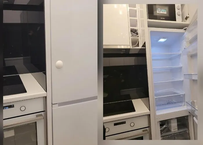 Cookie Kolacic Blizu Aerodroma Nikola Tesla Dobanovci